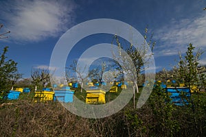 Garden with colorful beehives