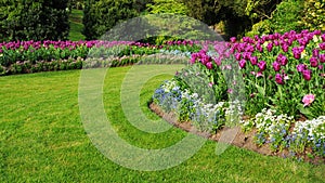 Garden with a Colourful Flowerbed and Grass Lawn