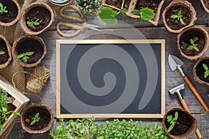 Garden composition with a chalk board, seedlings and garden tools.