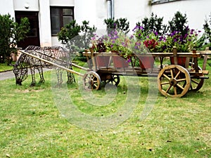 Garden composition horse and cart with flowers.