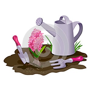 Garden composition with watering can and flower