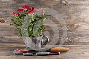 Garden concept still life with roses, gloves and gardener`s trow