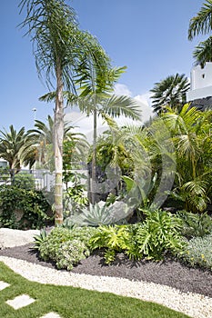 Garden corner featuring palm trees and lots of luxuriant plants, with a neat stone path crossing through the well-kept grass
