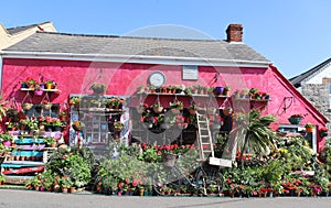 Garden cottage, lands end Cornish coastal village