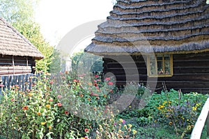 Garden by the country house made of wood and with a thatched roof, fenced off with a wooden fence