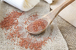 Garden cress seeds photo