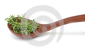 Garden cress in wooden spoon