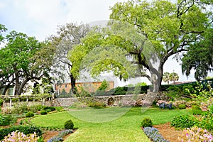 Garden of Museum in Jacksonville, Florida photo
