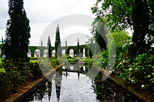 Garden of Museum in Jacksonville, Florida photo