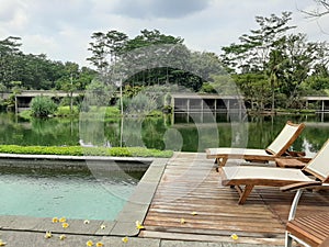 garden curtyard lawn