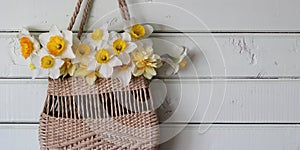 garden daffodils in a wicker summer bag hang on a board wall. Concept : no plastic, naturalness, spring. copy space.