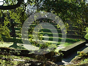 The Garden of Dartington Hall