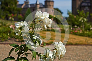 Garden of the De Haar Castle photo