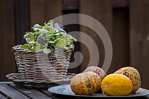 Garden decor objects and vegetables