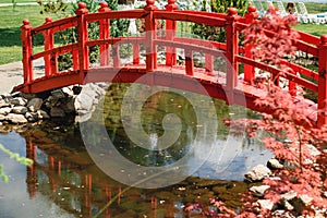 Garden decor, red bridge. beautiful pond in the garden.