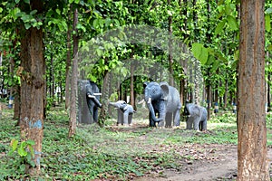 Garden Decoration