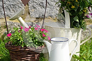 Garden decoration flower pot