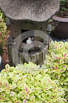 Garden decoration with little bird and birdhouse.