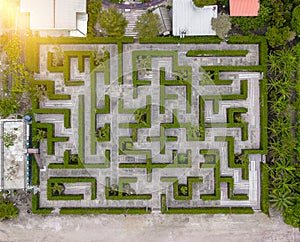 Garden Decoration is a maze with Green leaves wall fence with co