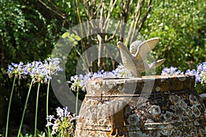 Garden decoration with a pigeon in the british cemetery in Corfu