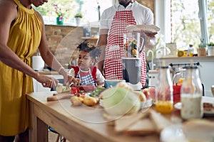 Garden Delights: Afro-American Family Embracing Fresh Produce in Kitchen Creations