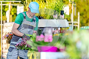 Garden Department Store Worker Takes Care Of Plants