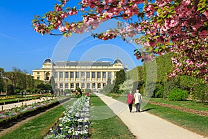 Garden des Plants spring