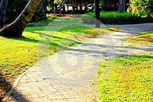 garden design bringing light and shadow to make beauty nature pattern on ground . abstract pattern decoration on green grass