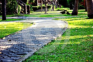 garden design bringing light and shadow to make beauty nature pattern on ground . abstract pattern decoration on green grass