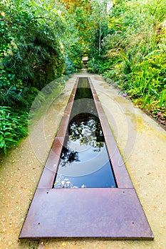 Garden design with pond in autumn colors