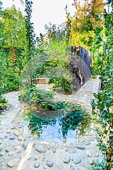 Garden design with pond in autumn colors