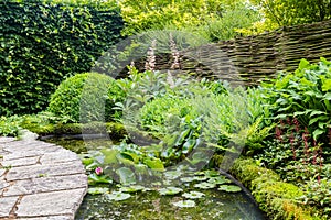 Garden design with water elements