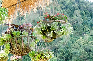 Garden designs with hanging flower pot