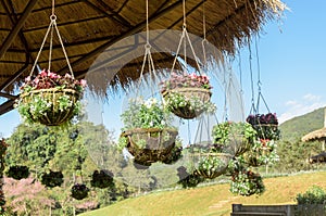 Garden designs with hanging flower pot