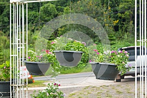 Garden designs with hanging flower pot in high season or winter
