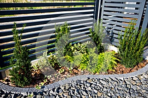 Garden detail: fence with cypress trees corner