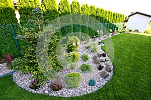 Garden detail: flower bed with pebbles and plants