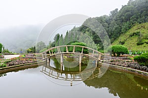 Garden in Doi Inthanon National Park