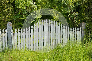 Garden door wooden lattice fence, green shrubs and grass