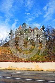 Garden of dracula bran castle