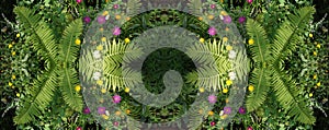garden of dreams.Seamless pattern across the horizontal. fern le photo