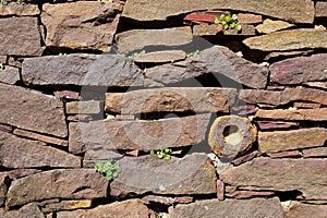 Garden: dry stone wall