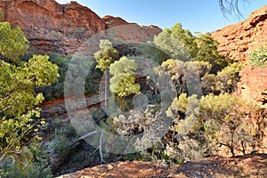 The garden of Eden. Kings Canyon. Watarrka National Park. Northern Territory. Australia