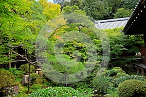 Garden at Eikan-d? Temple, a major Buddhist temple with ancient art and Zen garden