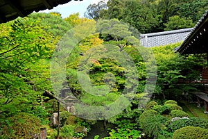 Garden at Eikan-d? Temple, a major Buddhist temple with ancient art and Zen garden