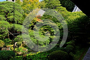 Garden at Eikan-d? Temple, a major Buddhist temple with ancient art and Zen garden