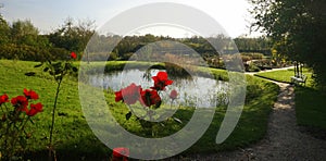 Garden of the Emil Nolde Museum in Seebuell, Germany photo