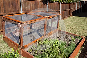 Garden enclosure to protect from small animals