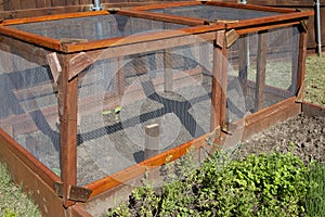 Garden enclosure to protect from small animals