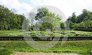 Garden of the estate Coendersborch. Netherlands photo